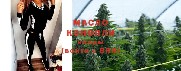 гашик Зеленокумск