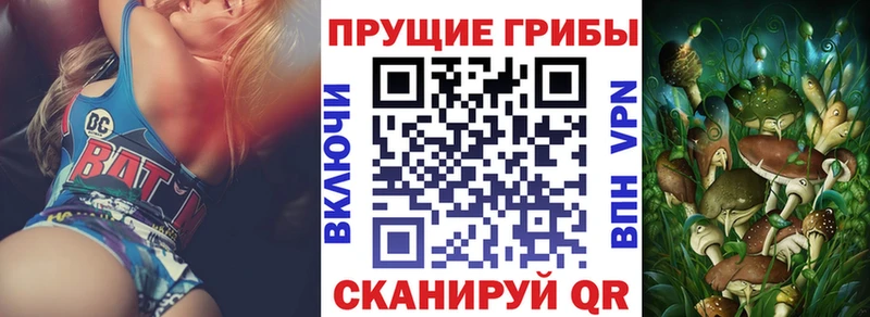 купить закладку  Алагир  Псилоцибиновые грибы Psilocybe 